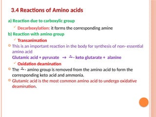 Transanimation building block of our body Amino acids and Proteins.pptx
