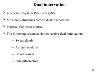3. Automomes Nerves System pdf (2).ppt