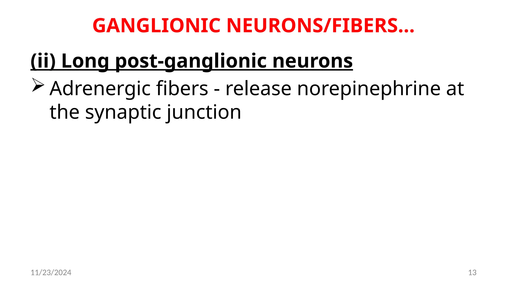 11/23/2024 13
GANGLIONIC NEURONS/FIBERS…
(ii) Long post-ganglionic neurons
 Adrenergic fibers - release norepinephrine at
the synaptic junction
 