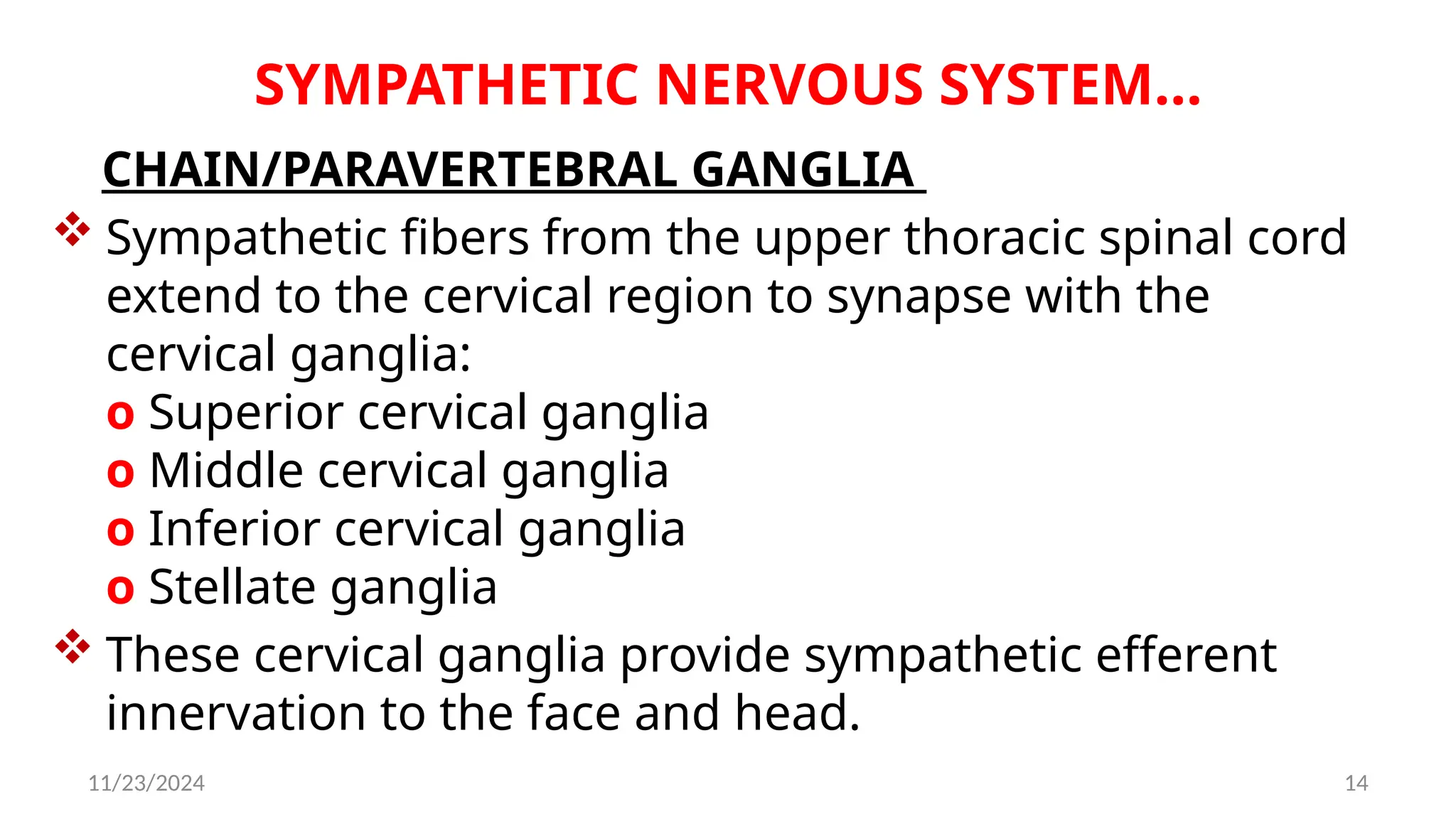 11/23/2024 14
SYMPATHETIC NERVOUS SYSTEM…
CHAIN/PARAVERTEBRAL GANGLIA
 Sympathetic fibers from the upper thoracic spinal cord
extend to the cervical region to synapse with the
cervical ganglia:
o Superior cervical ganglia
o Middle cervical ganglia
o Inferior cervical ganglia
o Stellate ganglia
 These cervical ganglia provide sympathetic efferent
innervation to the face and head.
 