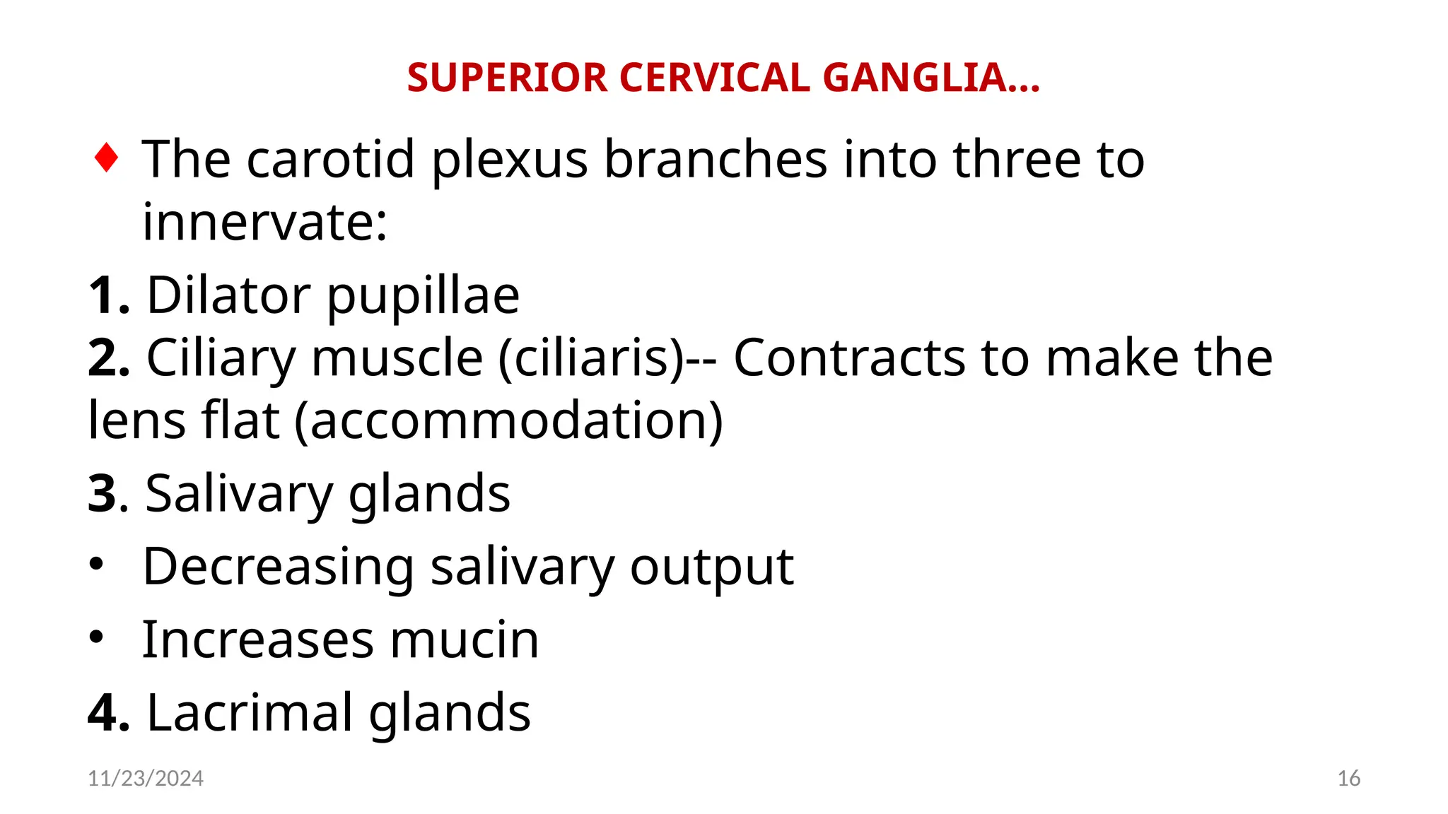 11/23/2024 16
SUPERIOR CERVICAL GANGLIA…
¨ The carotid plexus branches into three to
innervate:
1. Dilator pupillae
2. Ciliary muscle (ciliaris)-- Contracts to make the
lens flat (accommodation)
3. Salivary glands
• Decreasing salivary output
• Increases mucin
4. Lacrimal glands
 