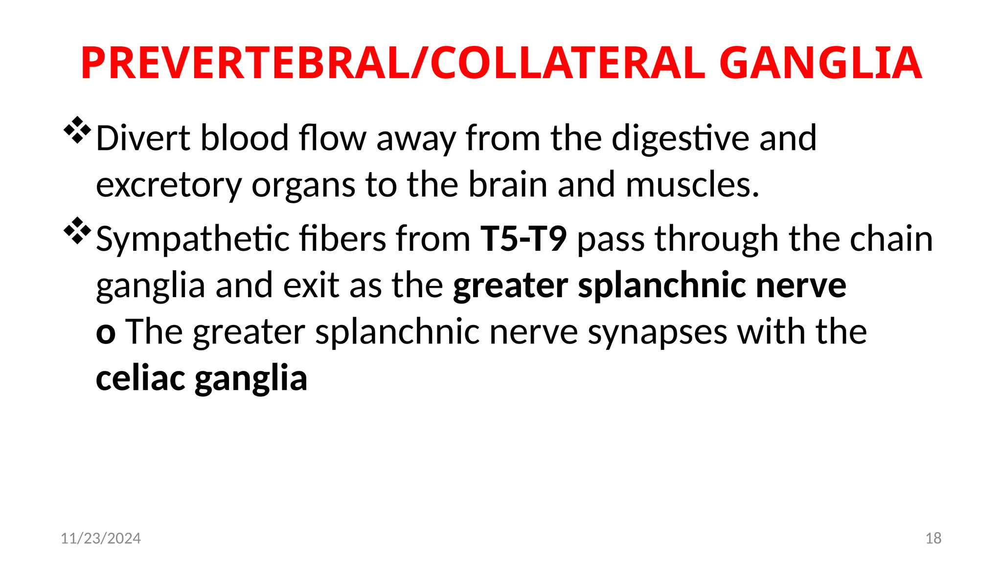 11/23/2024 18
PREVERTEBRAL/COLLATERAL GANGLIA
Divert blood flow away from the digestive and
excretory organs to the brain and muscles.
Sympathetic fibers from T5-T9 pass through the chain
ganglia and exit as the greater splanchnic nerve
o The greater splanchnic nerve synapses with the
celiac ganglia
 