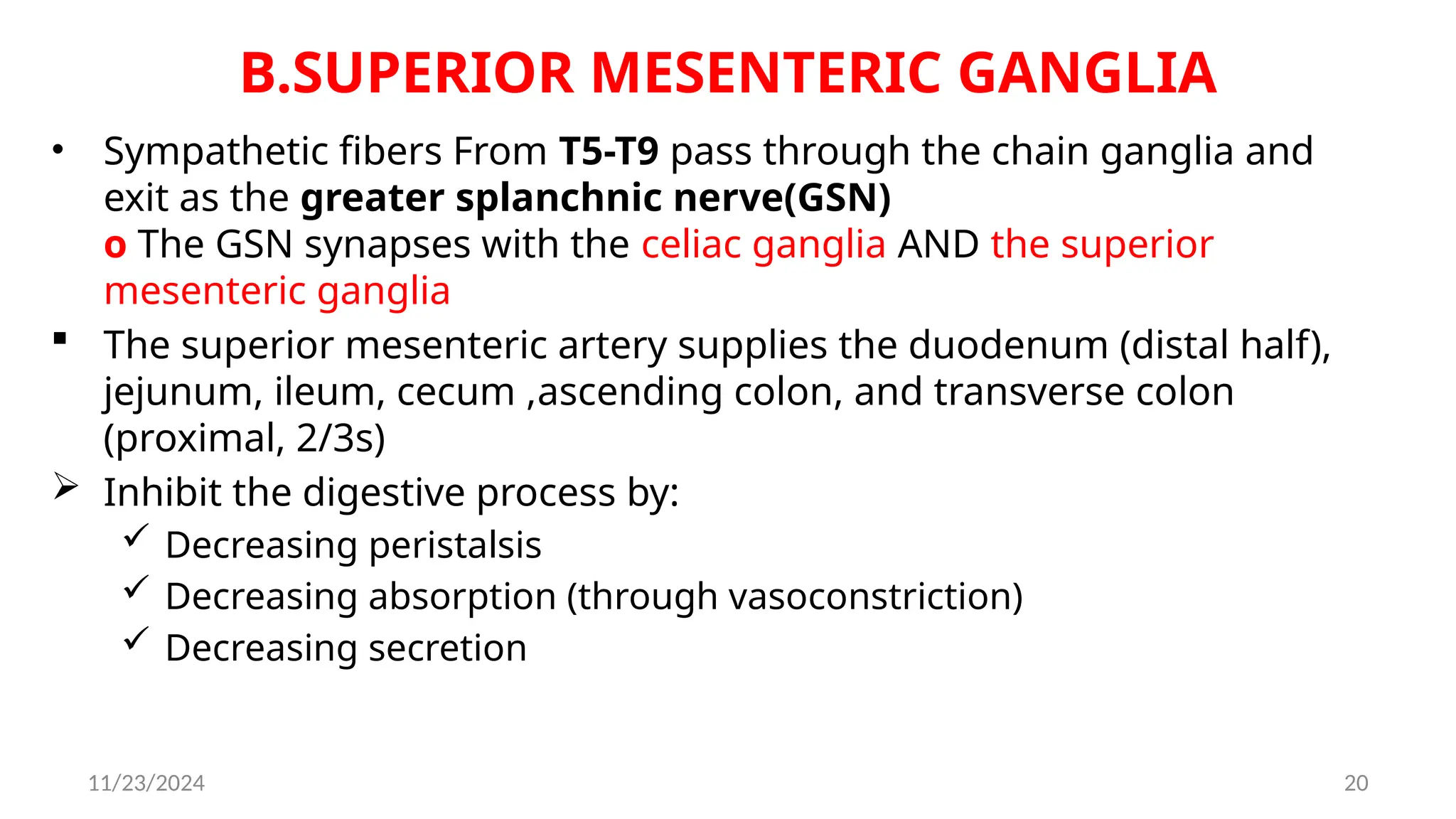 11/23/2024 20
B.SUPERIOR MESENTERIC GANGLIA
• Sympathetic fibers From T5-T9 pass through the chain ganglia and
exit as the greater splanchnic nerve(GSN)
o The GSN synapses with the celiac ganglia AND the superior
mesenteric ganglia
 The superior mesenteric artery supplies the duodenum (distal half),
jejunum, ileum, cecum ,ascending colon, and transverse colon
(proximal, 2/3s)
 Inhibit the digestive process by:
 Decreasing peristalsis
 Decreasing absorption (through vasoconstriction)
 Decreasing secretion
 