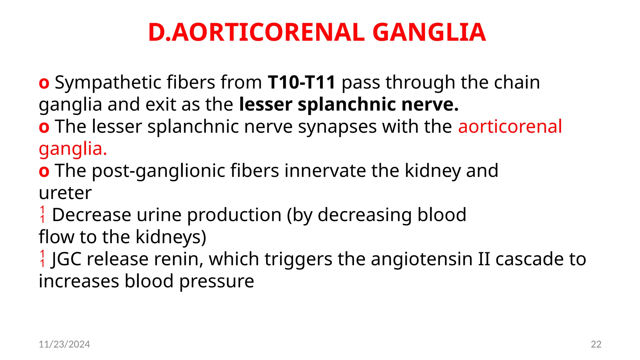 11/23/2024 22
D.AORTICORENAL GANGLIA
o Sympathetic fibers from T10-T11 pass through the chain
ganglia and exit as the lesser splanchnic nerve.
o The lesser splanchnic nerve synapses with the aorticorenal
ganglia.
o The post-ganglionic fibers innervate the kidney and
ureter
 Decrease urine production (by decreasing blood
flow to the kidneys)
 JGC release renin, which triggers the angiotensin II cascade to
increases blood pressure
 