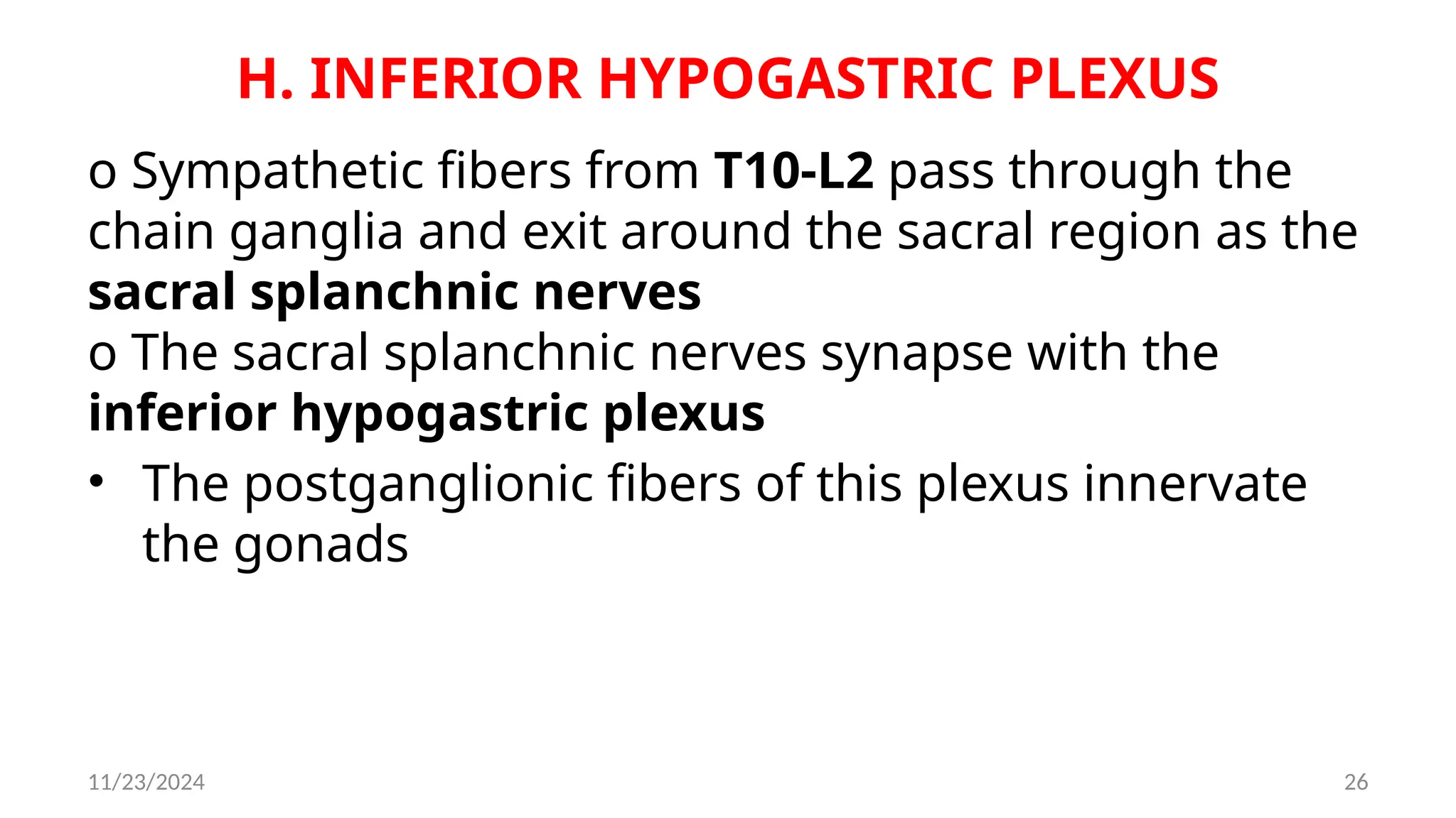 11/23/2024 26
H. INFERIOR HYPOGASTRIC PLEXUS
o Sympathetic fibers from T10-L2 pass through the
chain ganglia and exit around the sacral region as the
sacral splanchnic nerves
o The sacral splanchnic nerves synapse with the
inferior hypogastric plexus
• The postganglionic fibers of this plexus innervate
the gonads
 