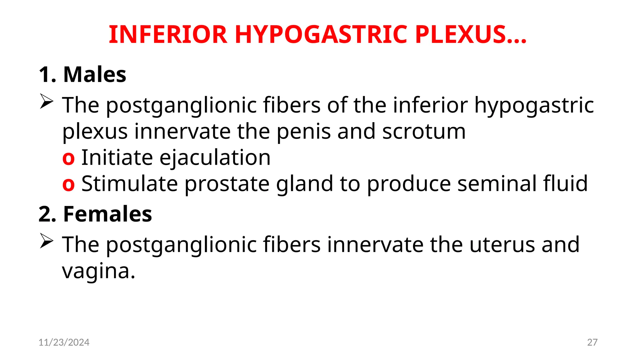 11/23/2024 27
INFERIOR HYPOGASTRIC PLEXUS…
1. Males
 The postganglionic fibers of the inferior hypogastric
plexus innervate the penis and scrotum
o Initiate ejaculation
o Stimulate prostate gland to produce seminal fluid
2. Females
 The postganglionic fibers innervate the uterus and
vagina.
 