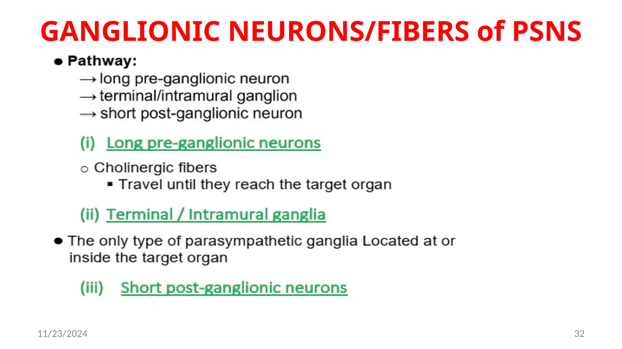11/23/2024 32
GANGLIONIC NEURONS/FIBERS of PSNS
 