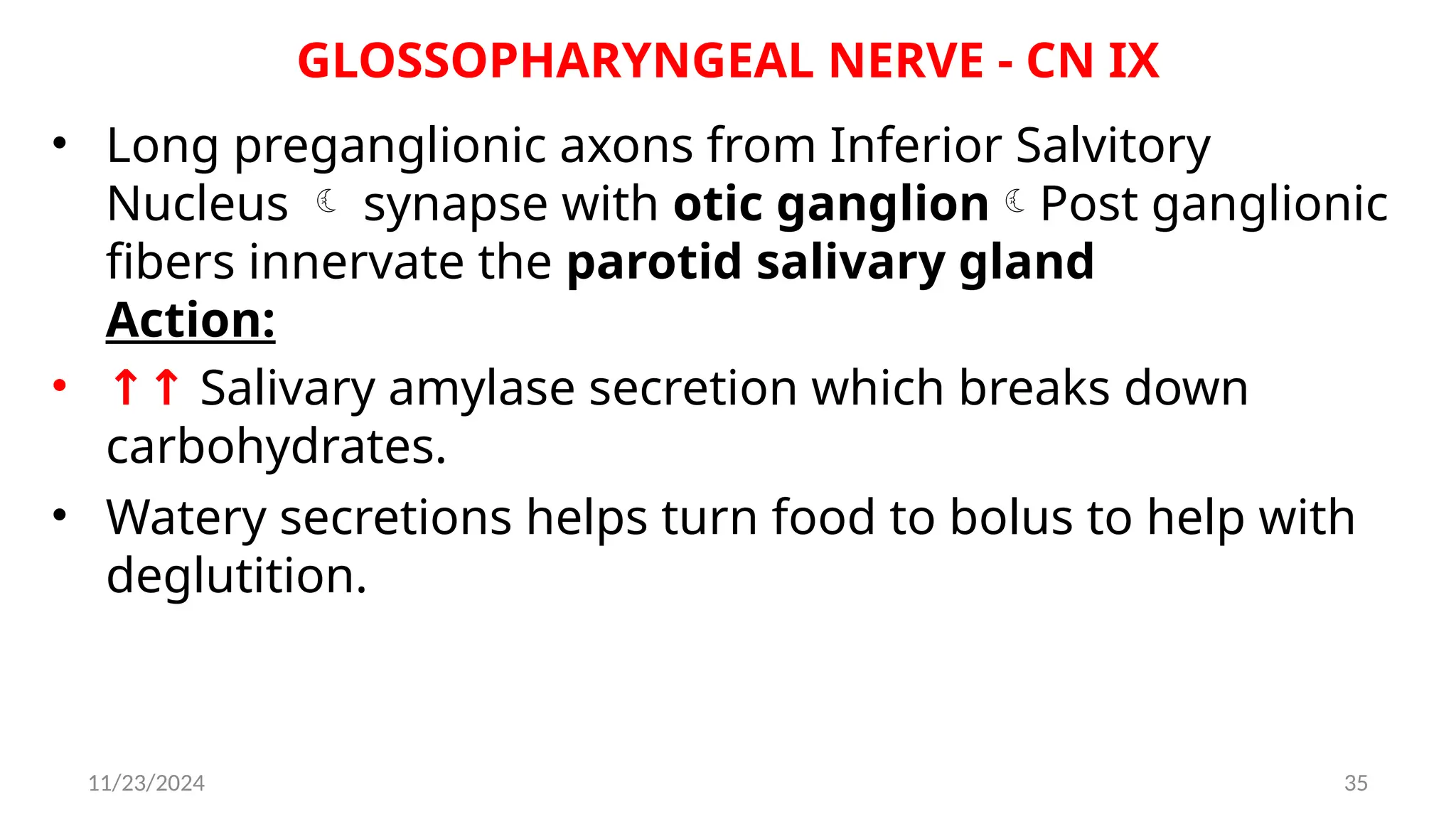 11/23/2024 35
GLOSSOPHARYNGEAL NERVE - CN IX
• Long preganglionic axons from Inferior Salvitory
Nucleus  synapse with otic ganglionPost ganglionic
fibers innervate the parotid salivary gland
Action:
• ↑↑ Salivary amylase secretion which breaks down
carbohydrates.
• Watery secretions helps turn food to bolus to help with
deglutition.
 