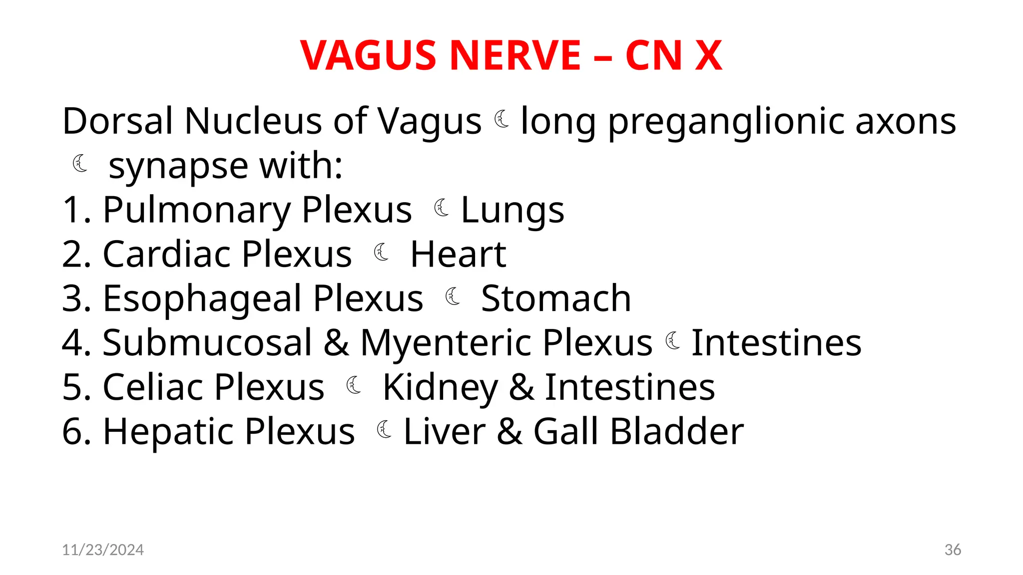 11/23/2024 36
VAGUS NERVE – CN X
Dorsal Nucleus of Vaguslong preganglionic axons
 synapse with:
1. Pulmonary Plexus Lungs
2. Cardiac Plexus  Heart
3. Esophageal Plexus  Stomach
4. Submucosal & Myenteric PlexusIntestines
5. Celiac Plexus  Kidney & Intestines
6. Hepatic Plexus Liver & Gall Bladder
 