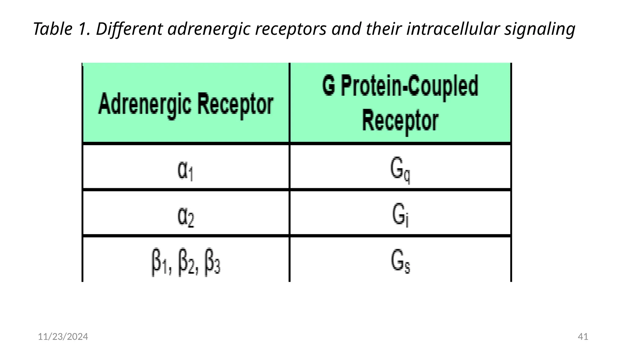 11/23/2024 41
Table 1. Different adrenergic receptors and their intracellular signaling
 