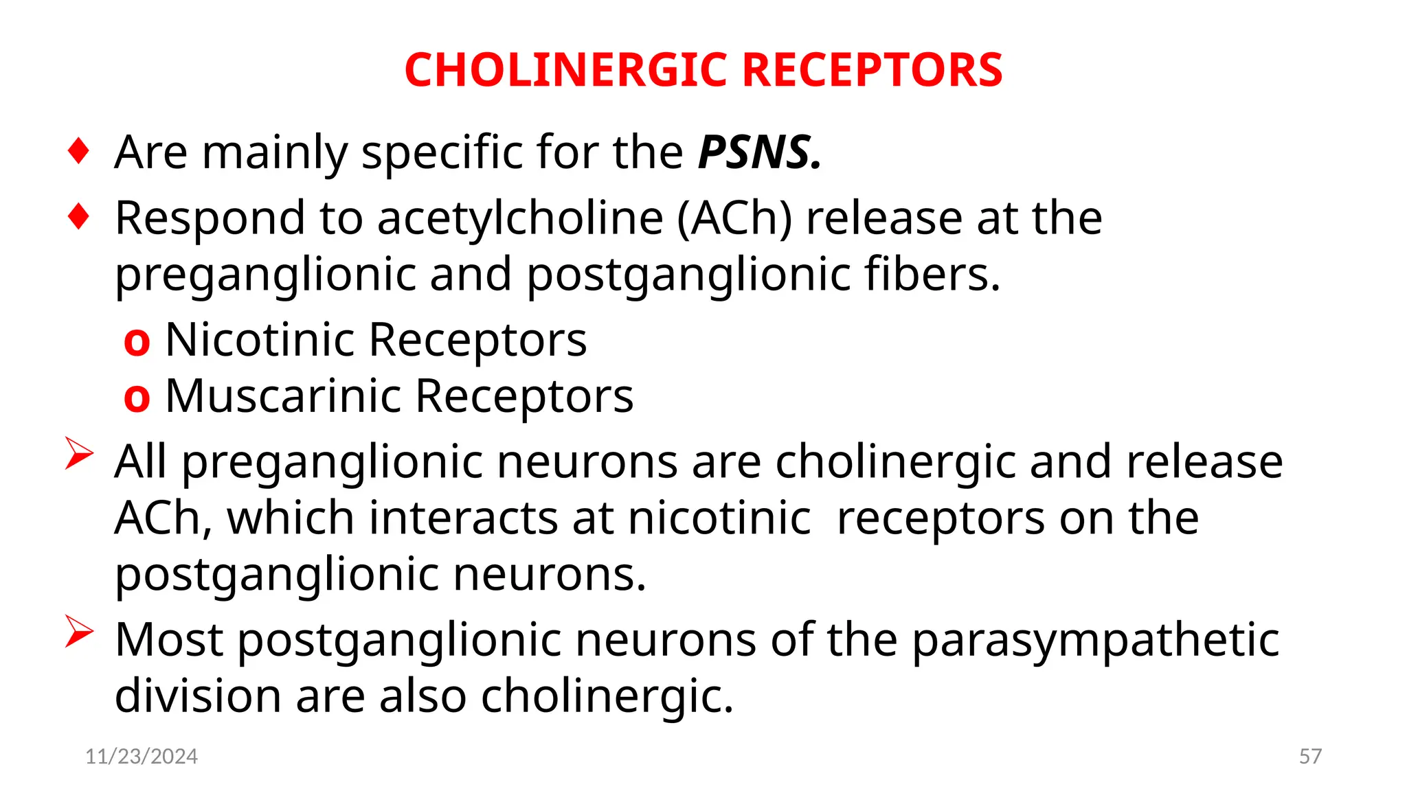 11/23/2024 57
CHOLINERGIC RECEPTORS
¨ Are mainly specific for the PSNS.
¨ Respond to acetylcholine (ACh) release at the
preganglionic and postganglionic fibers.
o Nicotinic Receptors
o Muscarinic Receptors
 All preganglionic neurons are cholinergic and release
ACh, which interacts at nicotinic receptors on the
postganglionic neurons.
 Most postganglionic neurons of the parasympathetic
division are also cholinergic.
 