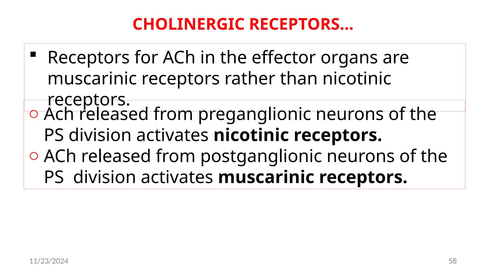 11/23/2024 58
CHOLINERGIC RECEPTORS…
 Receptors for ACh in the effector organs are
muscarinic receptors rather than nicotinic
receptors.
o Ach released from preganglionic neurons of the
PS division activates nicotinic receptors.
o ACh released from postganglionic neurons of the
PS division activates muscarinic receptors.
 