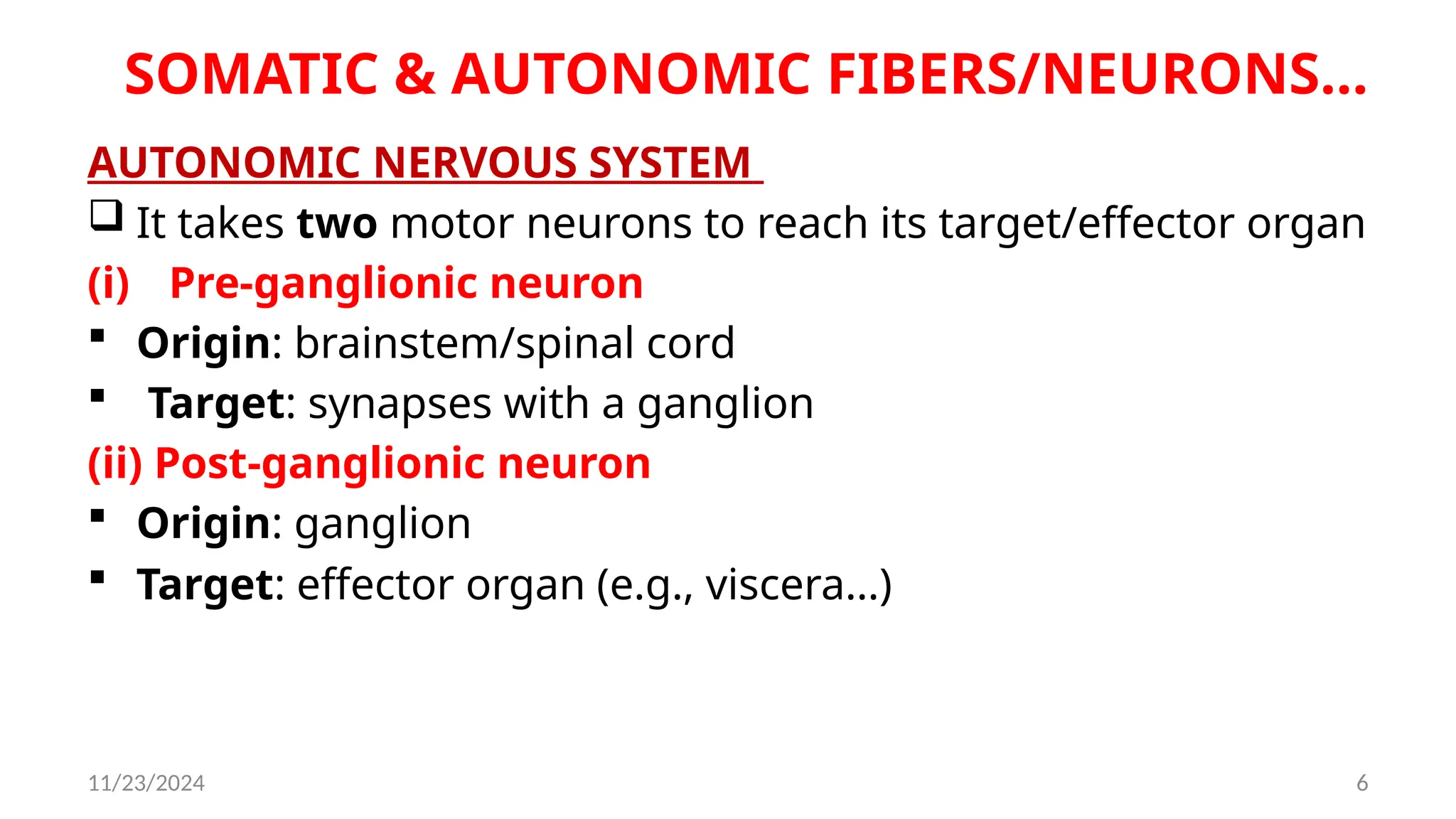 11/23/2024 6
SOMATIC & AUTONOMIC FIBERS/NEURONS…
AUTONOMIC NERVOUS SYSTEM
 It takes two motor neurons to reach its target/effector organ
(i) Pre-ganglionic neuron
 Origin: brainstem/spinal cord
 Target: synapses with a ganglion
(ii) Post-ganglionic neuron
 Origin: ganglion
 Target: effector organ (e.g., viscera...)
 