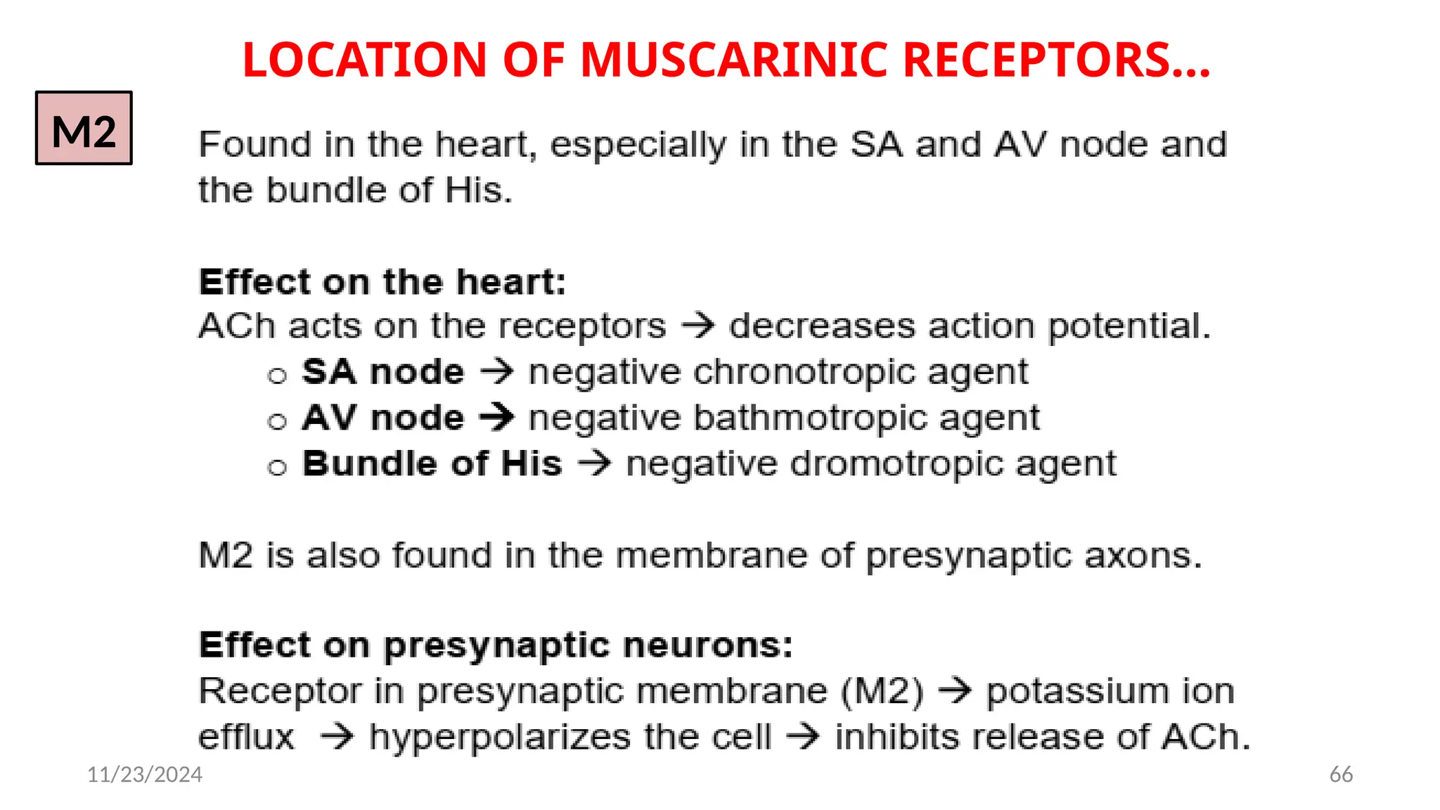 11/23/2024 66
LOCATION OF MUSCARINIC RECEPTORS…
M2
 