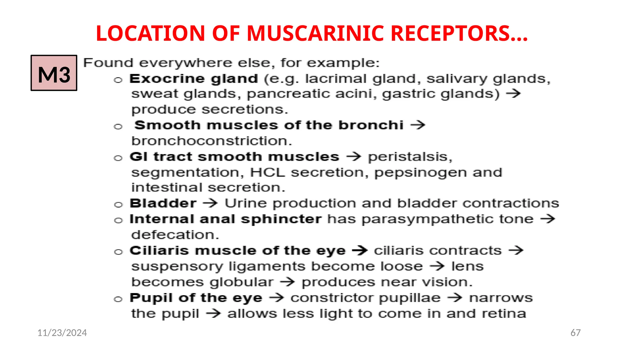 11/23/2024 67
LOCATION OF MUSCARINIC RECEPTORS…
M3
 