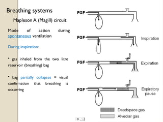 Mapleson A (Magill) circuit
Breathing systems
Mode of action during
spontaneous ventilation
During inspiration:
• gas inhaled from the two litre
reservoir (breathing) bag
• bag partially collapses = visual
confirmation that breathing is
occurring
 