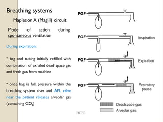 During expiration:
• bag and tubing initially refilled with
combination of exhaled dead space gas
and fresh gas from machine
• once bag is full, pressure within the
breathing system rises and APL valve
near the patient releases alveolar gas
(containing CO2)
Mapleson A (Magill) circuit
Breathing systems
Mode of action during
spontaneous ventilation
 