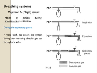 During the expiratory pause:
• more fresh gas enters the system
driving any remaining alveolar gas out
through the valve
Mapleson A (Magill) circuit
Breathing systems
Mode of action during
spontaneous ventilation
 