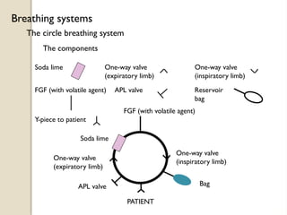 The circle breathing system
Breathing systems
Y-piece to patient
Reservoir
bag
APL valve
One-way valve
(inspiratory limb)
One-way valve
(expiratory limb)
Soda lime
FGF (with volatile agent)
The components
PATIENT
Bag
APL valve
One-way valve
(inspiratory limb)
One-way valve
(expiratory limb)
Soda lime
FGF (with volatile agent)
 