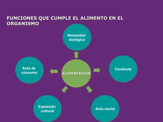 FUNCIONES QUE CUMPLE EL ALIMENTO EN EL
FUNCIONES QUE CUMPLE EL ALIMENTO EN EL
ORGANISMO
ORGANISMO
ALIMENTACIÓN
ALIMENTACIÓN
Necesidad
biológica
Acto social
Expresión
cultural
Acto de
consumo
Conducta
 