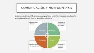 COMUNICACIÓN Y MORFOSINTAXIS
La comunicación se divide en cuatro campos. Estos serían los niveles de estudio de la
gramática que hemos visto en la clase introductoria.
• Estudio de la
estructura
oracional
• Estudio del significado
de las palabras y frases
• Estudio de los
componentes
de la palabra
• Estudio de los
fonemas
Fonología Morfología
Sintaxis
Semántica
 