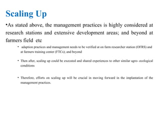 Scaling Up
•As stated above, the management practices is highly considered at
research stations and extensive development areas; and beyond at
farmers field etc
• adaption practices and management needs to be verified at on farm researcher station (OFRS) and
at farmers training center (FTCs); and beyond
• Then after, scaling up could be executed and shared experiences to other similar agro- ecological
conditions
• Therefore, efforts on scaling up will be crucial in moving forward in the implantation of the
management practices.
 