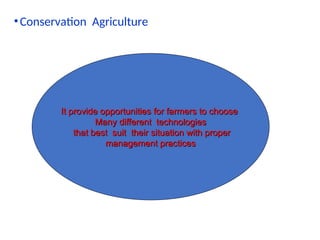 •Conservation Agriculture
It provide opportunities for farmers to choose
It provide opportunities for farmers to choose
Many different technologies
Many different technologies
that best suit their situation with proper
that best suit their situation with proper
management practices
management practices
 