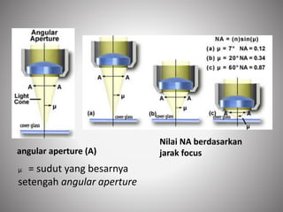 Macam Macam Cara kerja Mikroskop dan Kohler.pdf
