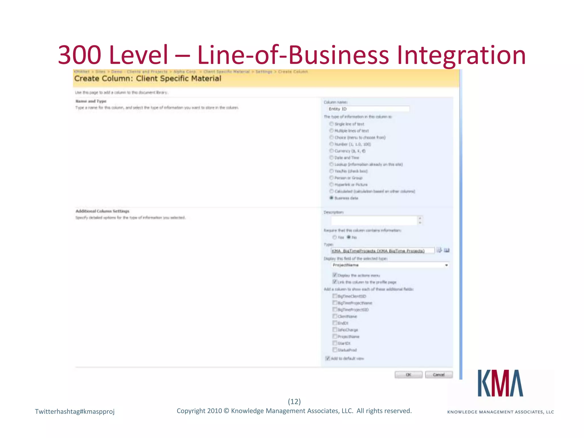 300 Level – Line-of-Business Integration