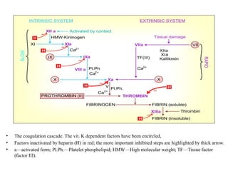 • The coagulation cascade. The vit. K dependent factors have been encircled,
• Factors inactivated by heparin (H) in red; the more important inhibited steps are highlighted by thick arrow.
• a—activated form; Pl.Ph.—Platelet phospholipid; HMW—High molecular weight; TF—Tissue factor
(factor III).
 