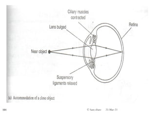 25-Mar-21
© Sam obare
101
 