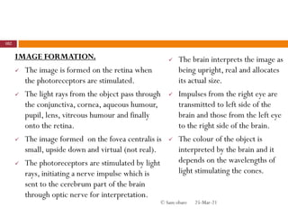IMAGE FORMATION.
 The image is formed on the retina when
the photoreceptors are stimulated.
 The light rays from the object pass through
the conjunctiva, cornea, aqueous humour,
pupil, lens, vitreous humour and finally
onto the retina.
 The image formed on the fovea centralis is
small, upside down and virtual (not real).
 The photoreceptors are stimulated by light
rays, initiating a nerve impulse which is
sent to the cerebrum part of the brain
through optic nerve for interpretation.
 The brain interprets the image as
being upright, real and allocates
its actual size.
 Impulses from the right eye are
transmitted to left side of the
brain and those from the left eye
to the right side of the brain.
 The colour of the object is
interpreted by the brain and it
depends on the wavelengths of
light stimulating the cones.
25-Mar-21
102
© Sam obare
 
