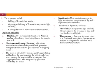  The responses include:
i. Folding of leaves in hot weather.
ii. Opening and closing of flowers in response to light
intensity.
iii. Closing of leaves of Mimosa pudica when touched.
Types of nastisms
1. Haptonasty- Movement to touch as in Mimosa
pudica whose leaves close when they or the stem is
touched.
 Also in venus fly trap (Dionaea) which is an
insectivorous/ carnivorous plant which grows in a
nitrogen deficient soil and gets nutrients by trapping
insect.
 The insect is attracted by colour/scent/ sugary baitsa
and lands on the leaves causing the mid rib cells lose
water causing the leaves to close with spines thus
trapping the insect which digested by proteases
secreted by the insect.
2. Nyctinasty- Movements in response to
light intensity and temperature of day and
night as seen in sunflower.
 Examples of Nyctinasty include:
i. Photonasty- Response to light intensity
(flowers open in the presence of light and
close in absence of light).
ii. Thermonasty- Response to temperature
as in flowers of some plants that open with
increase in temperature and close with
decrease in temperature.
25-Mar-21
11
© Sam obare
 