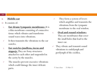 B. Middle ear
 It consists of:
1. Ear drum/tympanic membrane- It is
a thin membrane consisting of connective
tissue which vibrates and transforms
sound waves into vibrations.
 It then transmits the vibrations to the ear
ossicles.
2. Ear ossicles (malleus, incus and
stapes)- They are bony structures
attached to each other and suspended in
the cavity by the muscles.
 The muscles prevent excessive vibrations
which could damage the inner delicate
parts.
 They form a system of levers
which amplifies and transmits the
vibrations from the tympanic
membrane to the oval window.
3. Oval and round window-
They are membranes that cover
the small holes that lead to the
inner ear.
 They vibrate and transmit sound
vibrations to endolymph and
perilymph of the cochlea.
25-Mar-21
111
© Sam obare
 