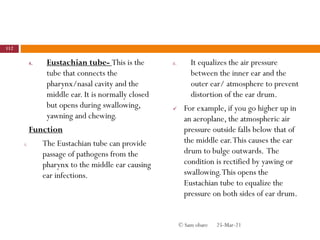 4. Eustachian tube- This is the
tube that connects the
pharynx/nasal cavity and the
middle ear. It is normally closed
but opens during swallowing,
yawning and chewing.
Function
i. The Eustachian tube can provide
passage of pathogens from the
pharynx to the middle ear causing
ear infections.
ii. It equalizes the air pressure
between the inner ear and the
outer ear/ atmosphere to prevent
distortion of the ear drum.
 For example, if you go higher up in
an aeroplane, the atmospheric air
pressure outside falls below that of
the middle ear.This causes the ear
drum to bulge outwards. The
condition is rectified by yawing or
swallowing.This opens the
Eustachian tube to equalize the
pressure on both sides of ear drum.
25-Mar-21
112
© Sam obare
 