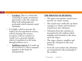 2. Cochlea- This is a coiled tube
consisting of canals, membranes
and sensory cells.The canals are
filled with endolymph and
perilymph which transmit sound
vibrations.
 It is highly coiled to increase the
surface area for attachment sensory
cells for hearing.The sensory
receptors/cells are sensitive to
sound waves, generate impulse
which is transmitted to the brain
through auditory nerve.
3. Auditory nerve- It is made up
of several nerve cells to transmit
impulses to the brain for
interpretation.
THE PROCESS OF HEARING.
 The pinna concentrates sound waves
into the ear canal/ meatus.
 The sound waves strike the ear drum
causing it to vibrate and transform
sound waves into vibrations.
 Vibrations from the eardrum are
transmitted to the malleus which
amplifies and transmits to the incus
up to the stapes.
 The stapes vibrates, amplifies and
passes the vibrations to the oval
window.
 From the oval window the vibrations
are transmitted to the perilymph of
the cochlea.
25-Mar-21
114
© Sam obare
 