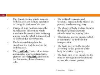  The 3 semi-circular canals maintain
body balance and posture in relation
to change in position of the head.
 Change of head position causes the
movement of endolymph which
stimulates the sensory hairs initiating
a nerve impulse which is transmitted
to the brain for interpretation.
 The brain sends impulses the
muscles of the body to restore the
body balance.
 The vestibule consists of utriculus
and sacculus which contain chalky
granules called otoliths attached to
the fine sensory hairs of sensory
cells.
 The vestibule (sacculus and
utriculus) maintain body balance and
posture in relation to gravity.
 The change of body posture disturbs
the chalky granules causing
stimulation of the sensory hairs.
 This initiates a nerve impulse which
is transmitted to the brain for
interpretation.
 The brain interprets the impulse
according to the position of the
body in relation to gravity.
 The brain then sends impulse to the
muscles through motor neurone to
restore the correct posture.
25-Mar-21
116
© Sam obare
 