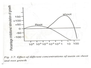 25-Mar-21
© Sam obare
15
 