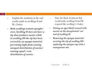 b) Explain the similarity in the end
results made in seedlings II and
III. (2mks)
 Both seedlings remain upright/
erect.Seedling II does not have a
tip that produces auxins while
in seedling III the tip has been
covered by an opaque material
preventing light from causing
unequal distribution of auxins/
causing equal/ even
distribution of auxins.
c) State the likely treatment that
would make seedlings II and III
respond like seedling I. (2mks)
 Fitting an ager block treated with
auxins at the decapitated/ cut
end of seedling II.
 Removing the opaque material
covering the tip of seedling III/
replacing the opaque cap with a
transparent one.
25-Mar-21
23
© Sam obare
 