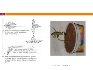 25-Mar-21
25
© Sam obare
 