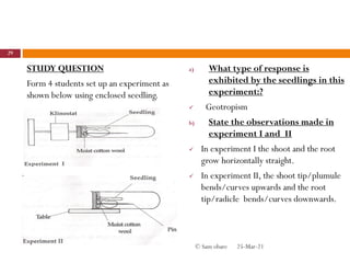 STUDY QUESTION
Form 4 students set up an experiment as
shown below using enclosed seedling.
a) What type of response is
exhibited by the seedlings in this
experiment:?
 Geotropism
b) State the observations made in
experiment I and II
 In experiment I the shoot and the root
grow horizontally straight.
 In experiment II, the shoot tip/plumule
bends/curves upwards and the root
tip/radicle bends/curves downwards.
25-Mar-21
29
© Sam obare
 