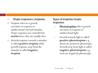 A. Tropic responses/ tropisms.
 Tropism refers to a growth
curvature in response to
unidirectional external stimulus.
Tropic responses are controlled by
auxins hence they are usually slow.
 Growth response towards a stimulus
is called positive tropism while
growth response away from the
stimulus is called negative
tropism.
Types of tropisms/tropic
responses
1. Phototropism- this is growth
curvature in response to
unidirectional light.
• Growth towards light is called
positive phototropism e.g.
shoots are positively phototropic.
Growth away from light is called
negative phototropism e.g.
roots are negatively phototropic.
25-Mar-21
3
© Sam obare
 