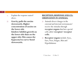 d) Explain the response named
above.
 Gravity pulls the auxins
downwards. Higher
concentration of auxins on
the lower side
hinders/inhibits growth on
the lower side than on the
upper side.This causes the
hypocotyl to curve/bend
downwards.
RECEPTION, RESPONSE AND CO-
ORDINATION IN ANIMALS.
 Animals detect changes in the
external and internal environment/
receive the stimulus through
receptor organs that have special
cells called receptor/ receptor
cells.
 Receptor organs include: Eyes,
Ears, Nose,Tongue, Skin and
Hypothalamus
25-Mar-21
33
© Sam obare
 