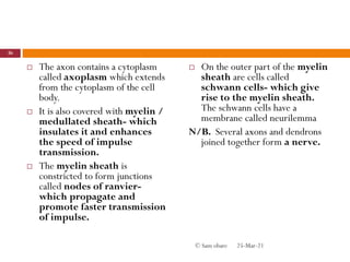  The axon contains a cytoplasm
called axoplasm which extends
from the cytoplasm of the cell
body.
 It is also covered with myelin /
medullated sheath- which
insulates it and enhances
the speed of impulse
transmission.
 The myelin sheath is
constricted to form junctions
called nodes of ranvier-
which propagate and
promote faster transmission
of impulse.
 On the outer part of the myelin
sheath are cells called
schwann cells- which give
rise to the myelin sheath.
The schwann cells have a
membrane called neurilemma
N/B. Several axons and dendrons
joined together form a nerve.
25-Mar-21
36
© Sam obare
 