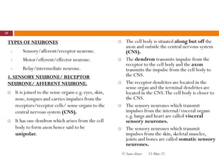 TYPES OF NEURONES
1. Sensory/afferent/receptor neurone.
2. Motor/efferent/effector neurone.
3. Relay/intermediate neurone.
1. SENSORY NEURONE/ RECEPTOR
NEURONE/ AFFERENT NEURONE.
 It is joined to the sense organs e.g. eyes, skin,
nose, tongues and carries impulses from the
receptors/receptor cells/ sense organs to the
central nervous system (CNS).
 It has one dendron which arises from the cell
body to form axon hence said to be
unipolar.
 The cell body is situated along but off the
axon and outside the central nervous system
(CNS).
 The dendron transmits impulse from the
receptor to the cell body and the axon
transmits the impulse from the cell body to
the CNS.
 The receptor dendrites are located in the
sense organ and the terminal dendrites are
located in the CNS.The cell body is closer to
the CNS.
 The sensory neurones which transmit
impulses from the internal/visceral organs
e.g. lungs and heart are called visceral
sensory neurones.
 The sensory neurones which transmit
impulses from the skin, skeletal muscles,
joints and bones are called somatic sensory
neurones.
25-Mar-21
38
© Sam obare
 