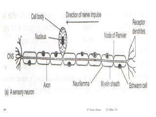 25-Mar-21
© Sam obare
39
 