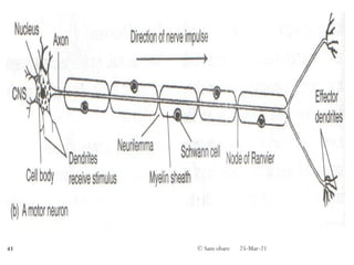 25-Mar-21
© Sam obare
41
 