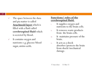  The space between the dura
and pia matter is called
Arachnoid layer which is
filled with a fluid called
cerebrospinal fluid which
is secreted by blood.
 It contains oxygen and
nutrients e.g. glucose/blood
sugar, amino acids.
Functions/ roles of the
cerebrospinal fluid.
i. It supplies oxygen and
nutrients to the brain cells.
ii. It removes waste products
from the brain cells.
iii. It maintains pressure of the
brain.
iv. It acts as a shock
absorber/protects the brain
from shock/mechanical
damage.
25-Mar-21
47
© Sam obare
 