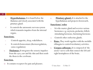 4. Hypothalamus- It is found below the
thalamus and closely associated with the
pituitary gland.
 It controls the autonomic nervous system
which transmits impulses from the internal
organs.
Functions.
i. Controls appetite, sleep, wakefulness.
ii. It controls homeostasis (thermoregulation,
osmo-regulation)
5. Thalamus- It integrates the sensory impulses
from the eyes, ears and the skin and then sends
the them to the cerebrum.
Function.
 It contains receptors for pain and pleasure.
6. Pituitary gland- It is attached to the
hypothalamus and projects downwards.
Functions/ roles
i) It is the master gland and secretes various
hormones e.g. oxytocin, prolactin, follicle
stimulating hormone, luteinizing hormone.
ii) Controls other endocrine glands.
7. Pons- They work together with the medulla
oblangata to control involuntary activities.
8. Corpus callosum- It is composed of the
axons/ nerve cells that connect the left and
right hemispheres of the brain.
25-Mar-21
50
© Sam obare
 