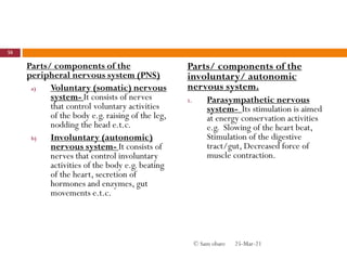 Parts/ components of the
peripheral nervous system (PNS)
a) Voluntary (somatic) nervous
system- It consists of nerves
that control voluntary activities
of the body e.g. raising of the leg,
nodding the head e.t.c.
b) Involuntary (autonomic)
nervous system- It consists of
nerves that control involuntary
activities of the body e.g. beating
of the heart, secretion of
hormones and enzymes, gut
movements e.t.c.
Parts/ components of the
involuntary/ autonomic
nervous system.
1. Parasympathetic nervous
system- Its stimulation is aimed
at energy conservation activities
e.g. Slowing of the heart beat,
Stimulation of the digestive
tract/gut, Decreased force of
muscle contraction.
25-Mar-21
58
© Sam obare
 